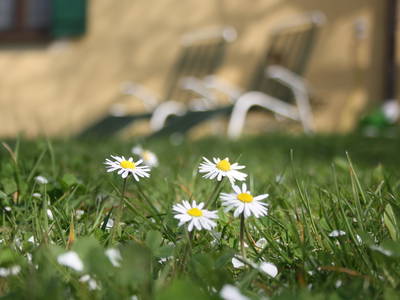 Bild 27 aus  Ferienhof Larrieder Mühle