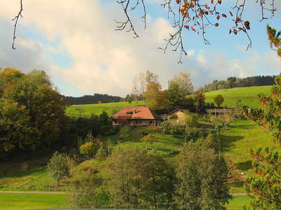 Bild 2 aus  „Hernis-Höfle“ Wohlfühlambiente im Elztal  5⭐️Sterneferien.