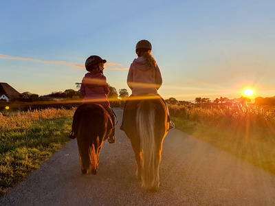 Bild 10 aus  Ferienhof   Witte Haubarg                -  2025 Beliebtester Ferienhof für Familienurlaub