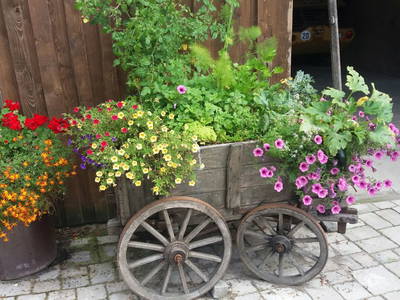 Bild 8 aus  Ferienhof & Campingplatz Schweinmühle