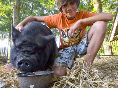 Bild 6 aus  Ferienhof Sporleder