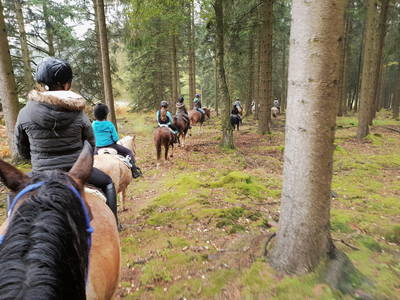 Bild 7 aus  Ferienhof-Marx