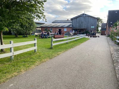 Bild 23 aus  Ferienhof Sell Bauernhofurlaub Ostsee Ponys