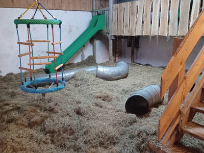 Bild 22 aus  Ferienhof Markhart