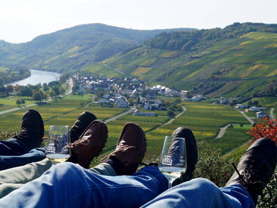 Bild 12 aus  Ferres Weingut