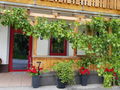 Bild 4 aus  Ferienwohnungen Neuhaushof