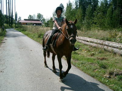 Bild 5 aus  Hof-Heiß