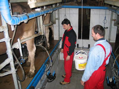 Bild 30 aus  Familien-Bauernhofurlaub im Herzen der Schweiz