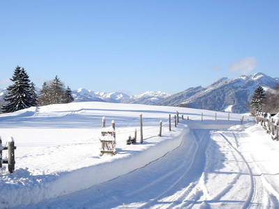 Bild 61 aus  Gmeinder's Landhaus