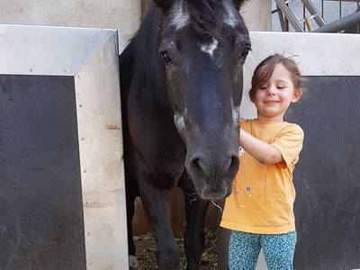 Bild 38 aus  Schellen Hof