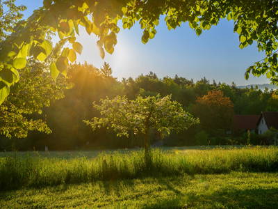 Bild 22 aus  Der Ofenmacherhof  Urlaub am Bauernhof