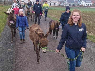 Bild 41 aus  Freizeit- und Ferienreiterhof Odenwald