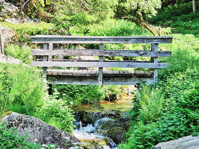 Bild 41 aus  Willkommen bei Familie Gutmann  auf dem Itzenwaldhof