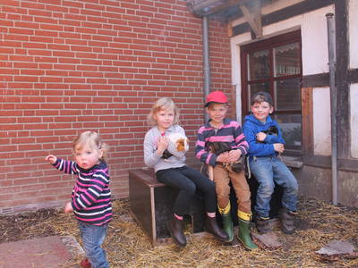 Bild 29 aus  Ferienhof Thomsen