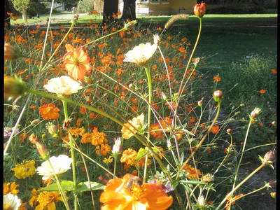 Bild 7 aus  Gut Herrlehof