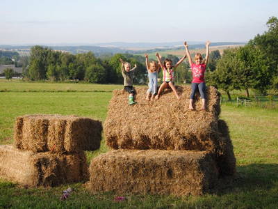 Bild 24 aus  Hof Kaltofen