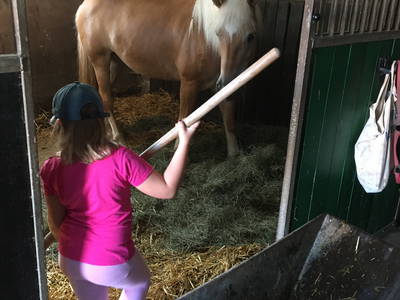 Bild 2 aus  Pension-Landhaus "Zum Ross"