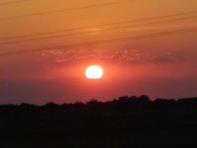 Bild 33 aus  Ferienhof Nordorfer Grashaus