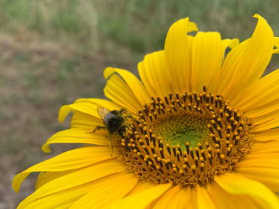 Bild 28 aus  Gästehaus im Lochautal