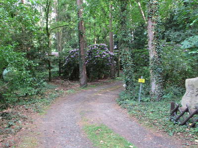 Bild 6 aus  Jagdhaus Albrecht