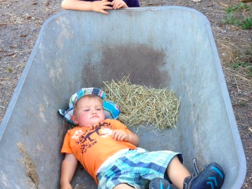 Bild 7 aus  Ferienwohnungen Strobel Eichstegen