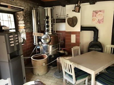 Bild 20 aus  Dürrenhof