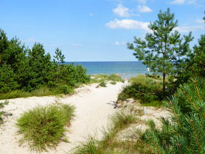 Bild 42 aus  Ferienhaus Gut Rattelvitz-INSEL RÜGEN