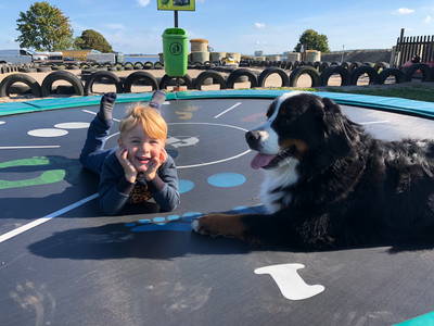 Bild 22 aus  Erlebnis-Bauernhof Kliewe auf der Insel Rügen