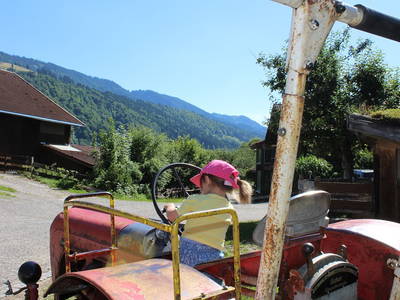 Bild 4 aus  Risthof am Großen Alpsee