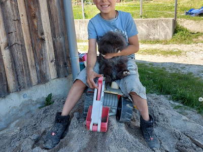 Bild 19 aus  Wangarhof