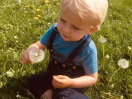 Bild 32 aus  Soodehof  Eins - Ihr Kinder-Erlebnisbauernhof in Nordhessen