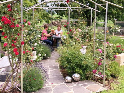 Bild 77 aus  Reiherhof