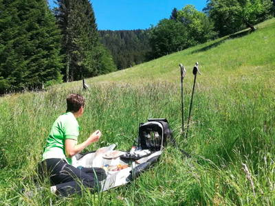 Bild 6 aus  Stinneshof