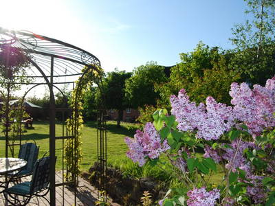 Bild 20 aus  Lindenhof