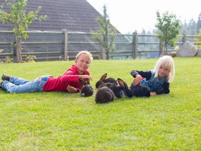 Bild 12 aus  Stoffnerhof