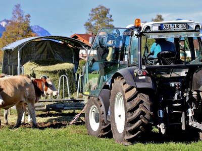 Bild 14 aus  Augustinerhof