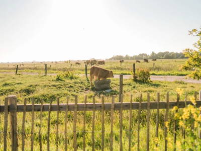 Bild 4 aus  Ferienhof Groth/ Hof Herzleuchten