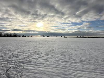 Bild 29 aus  Bauernhof Claussen Fehmarn