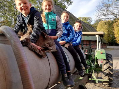 Bild 13 aus  LandSelection Ferienhof Friedrichsthal