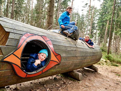 Waldhusche - Erlebnisgelände in Hinterhermsdorf