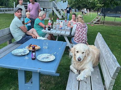 Bild 20 aus  Ferienhof Sell Bauernhofurlaub Ostsee Ponys