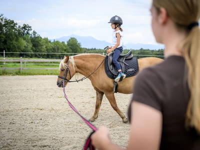 Bild 13 aus  LandSelection Moierhof am Chiemsee - Ferienhof des Jahres