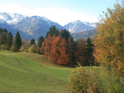 Bild 22 aus  Bucherhof