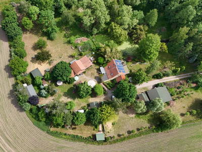 Bild 71 aus  Erlenhof im Oderbruch - Rund ums Schaf