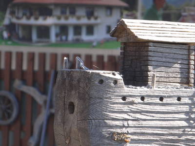 Bild 13 aus  Biolandhaus Arche