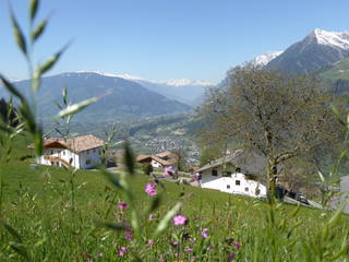 Ederhof aus Schenna