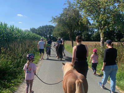 Bild 3 aus  Hof  Wesselmann