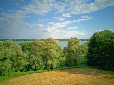 Bild 40 aus  Gestüt Hof am See