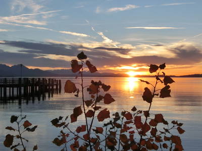Bild 25 aus  Beim Paulfischer direkt am Chiemseeufer