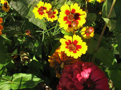 Bild 12 aus  Bio Ferienhof Teufelsberg GbR